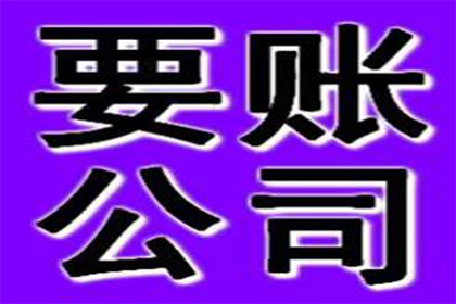 25元轻松解决欠款难题